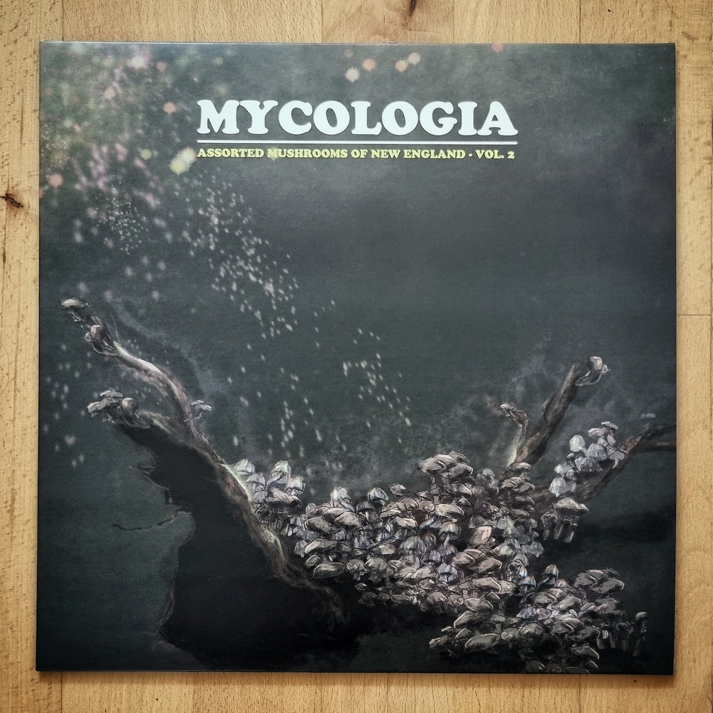 Mycologia - Assorted Mushrooms of New England Vol .2 Green Vinyl LP