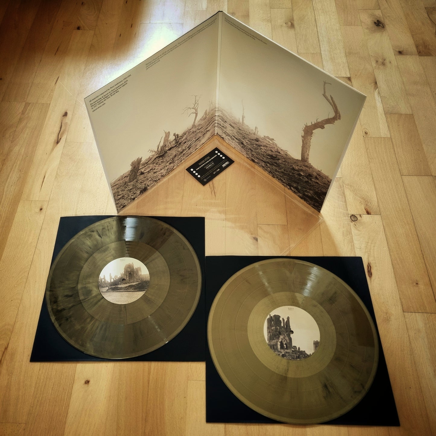 raison d'être - Within the Depths of Silence and Phormations 2xLP Gold Marble Vinyl