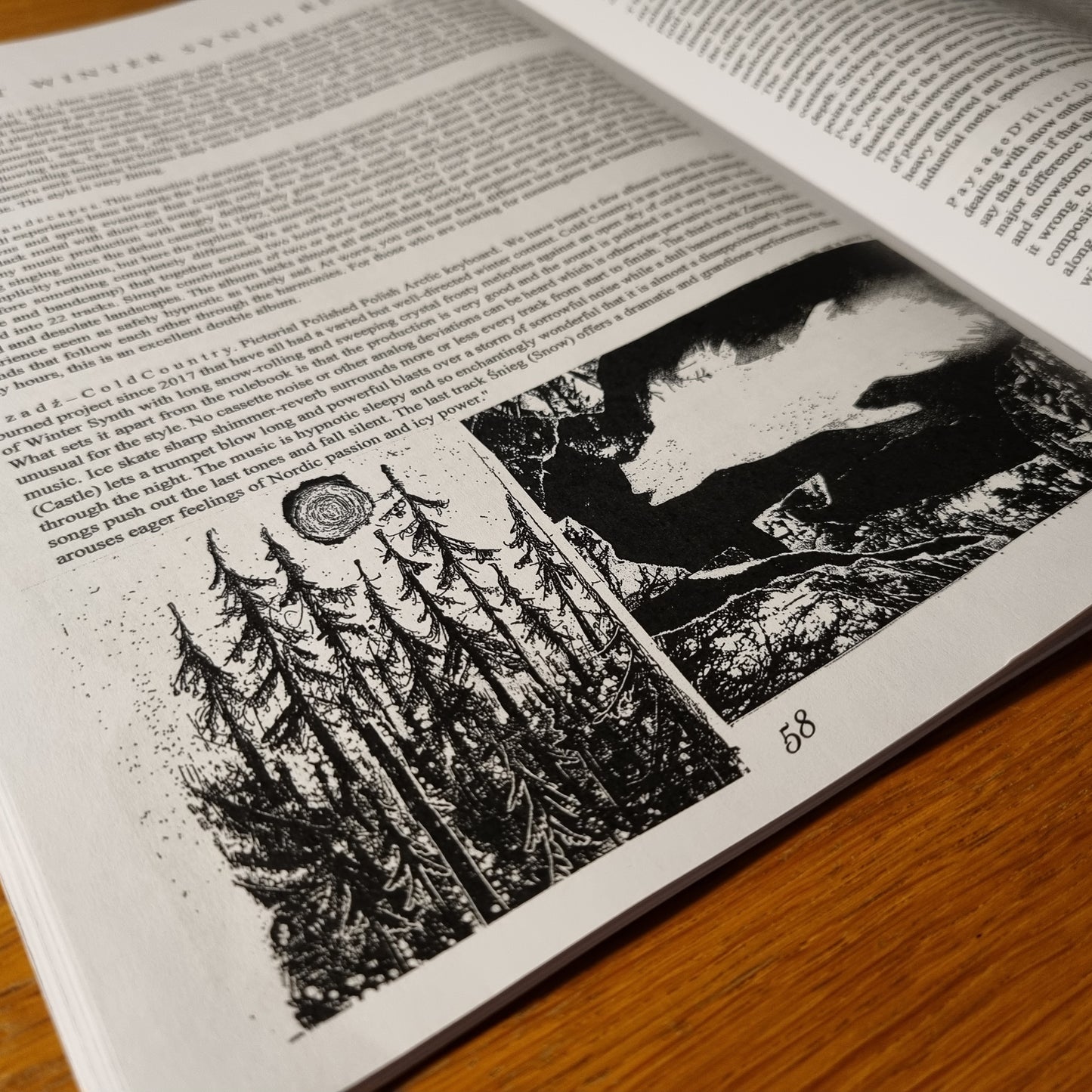 Rotstock Zine Issue 2 - A4 English version