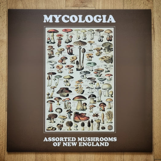 Mycologia - Assorted Mushrooms of New England Brown/White Vinyl LP