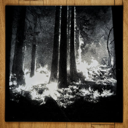 Den Sorte Død - Undergangen Vinyl LP