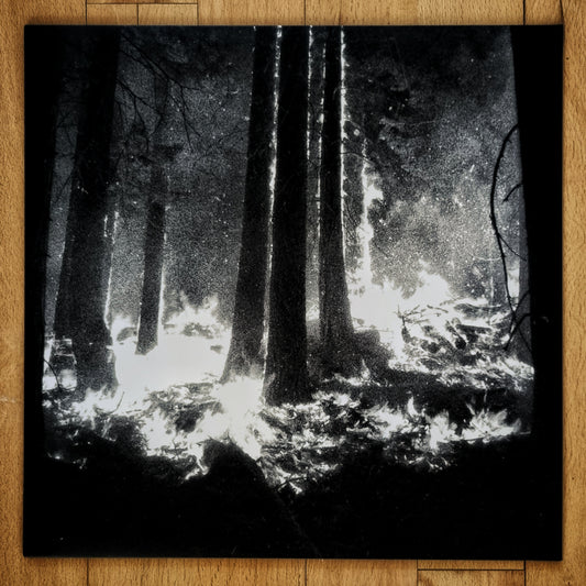 Den Sorte Død - Undergangen Vinyl LP