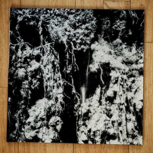 Den Sorte Død - Den Sorte Død Vinyl LP
