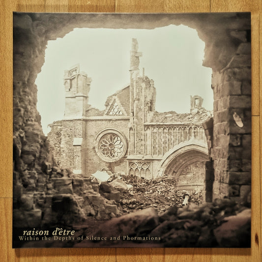 raison d'être - Within the Depths of Silence and Phormations 2xLP Gold Marble Vinyl