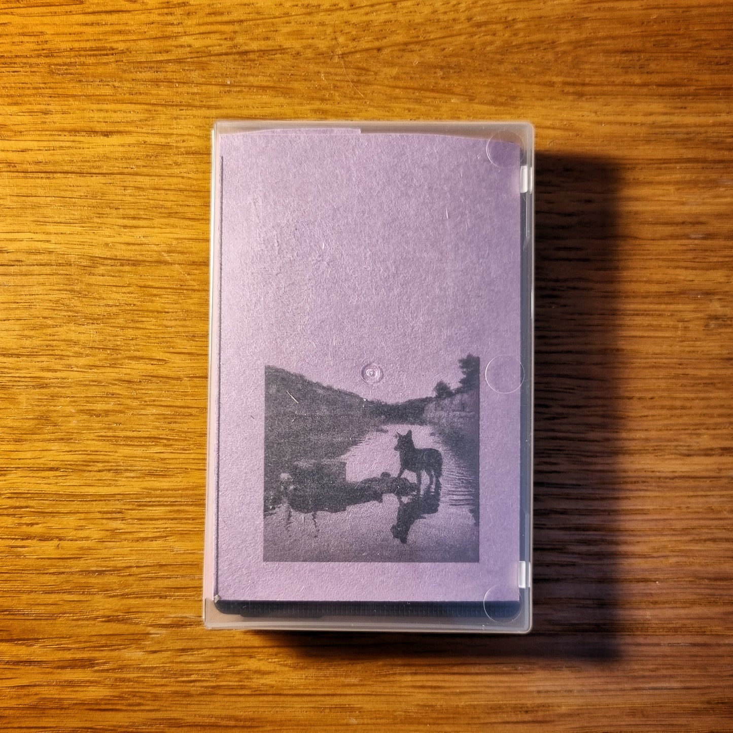 Bark! Dead Summer - A Song For Tarkovsky Cassette Tape